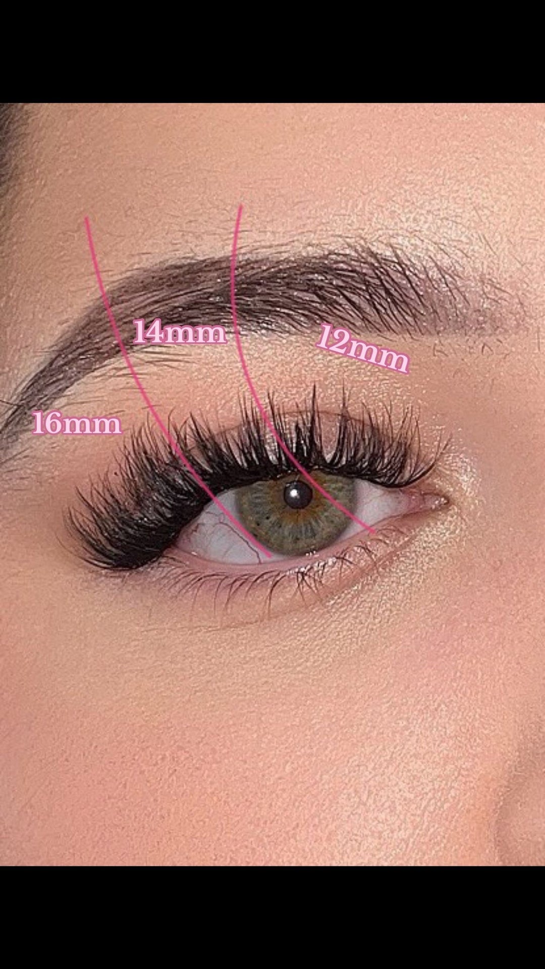Lover cluster lashes